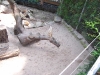 100_5962.jpg